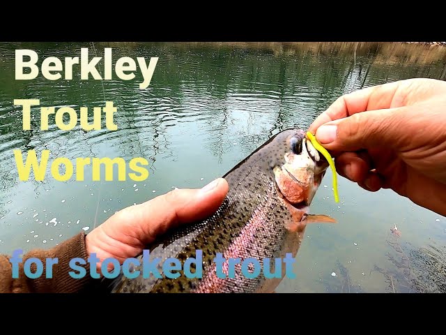 Catching Rainbow Trout on Berkley Trout Worms 