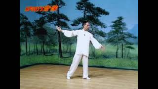 Chaquan Route 2 Instructional 5/6 二路查拳chaquan 5 of 6