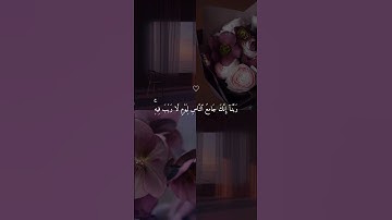 سورة آل عمران 💙#حالات_دينية #حالات_واتس #حالات_واتساب #قرآن #حالات