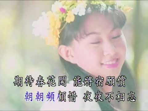 卓依婷 - 蘭花草 (Orchid Grass) MV