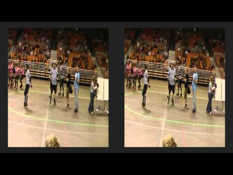 Chucktown Shutdown Roller Derby(3D HD)