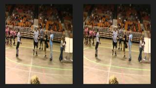 Chucktown Shutdown Roller Derby(3D Hd)