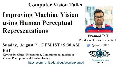 Improving Machine Vision using Human Perceptual Representations