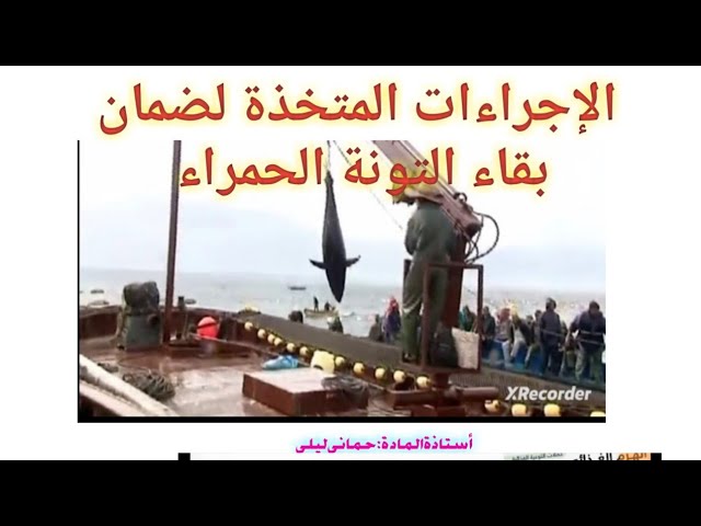 الإجراءات المتخذة لضمان بقاء التونة الحمراء