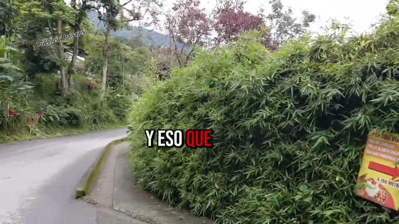 Hola mis amigos muy buenos días. Un paseo por Génova Quindío dónde la naturaleza y la cultura 🌳🌴🌿😊👍 