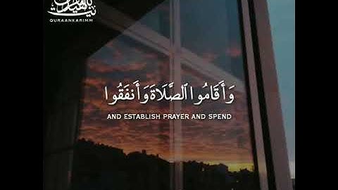 حالات واتس أب قرأن كريم// بصوت القارئ : احمد العجمي