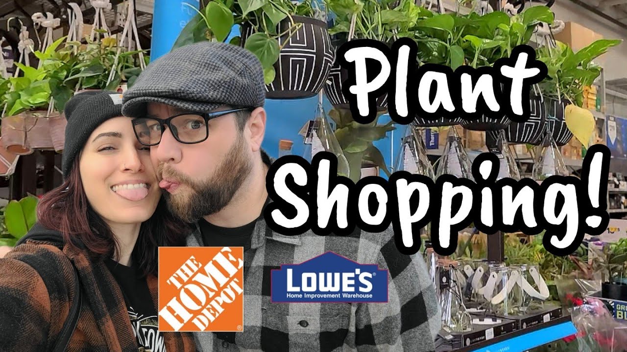 Trash or Treasure in Bloomfield CT?? 🤔 Lowe's & Home Depot Plant