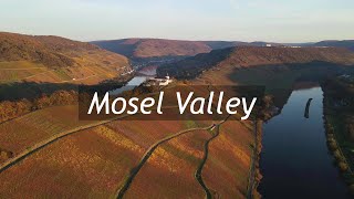 Mosel Valley from above