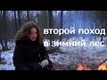 Поход в зимний лес 2 / Странный поход