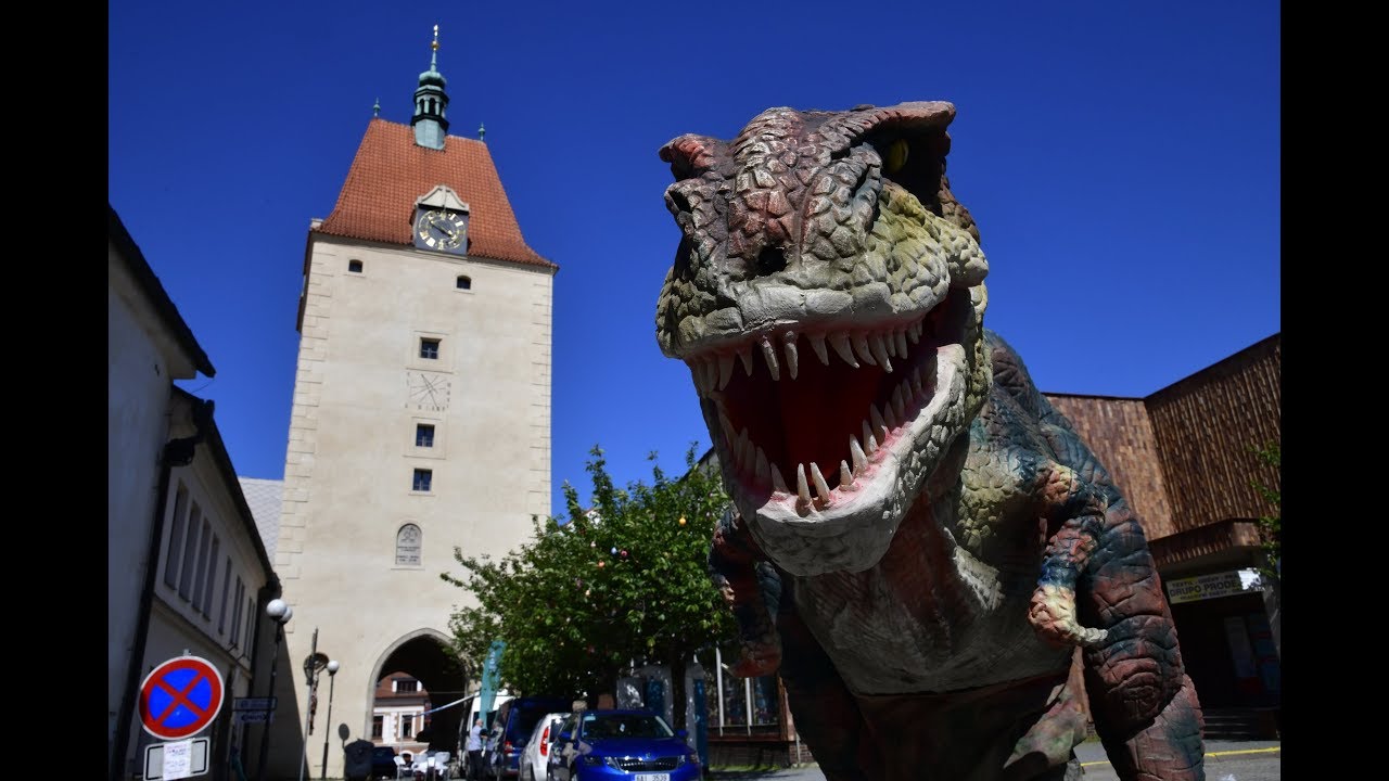 Festival Pelhřimov - město rekordů 2019