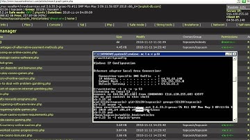 grsec local root exploit 2010