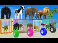Cow elephant lion gorilla guess the right door escape room challenge animals tire game