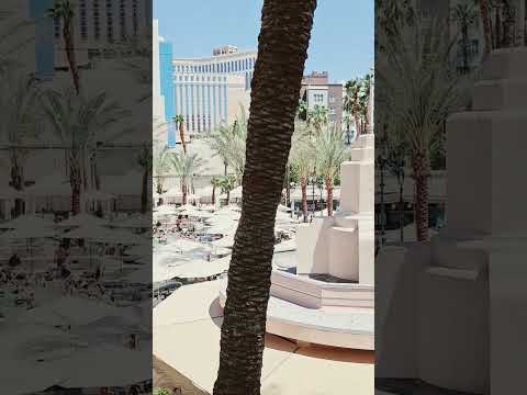 Watch This Before You Stay at CIRCA Hotel & Casino in Las Vegas! #lasvegas #vegas
