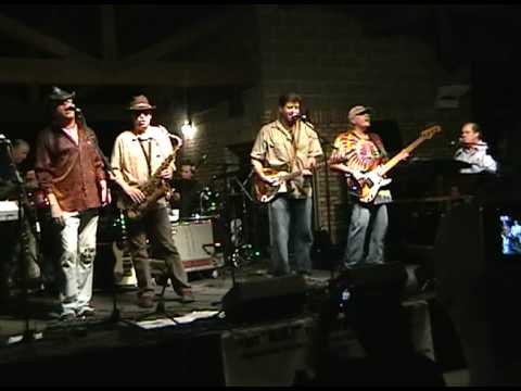 Voice of the Wetlands Festival 2009 --Tab Benoit, ...