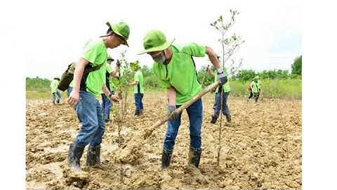 GDCD 7 - Bài 14: Bảo vệ môi trường và tài nguyên thiên nhiên - Cô Định