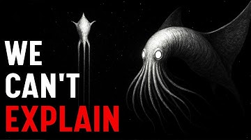 Why Squids get Creepier the Deeper you Go | Documentary for Sleep