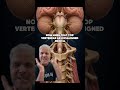 Vertigo specialist in Riverview and brandon| Neckwise, upper cervical chiropractor brandon