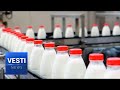 Russian Dairy is Surging to Meet International Demand! China Largest Buyer of Farmer’s Goods!
