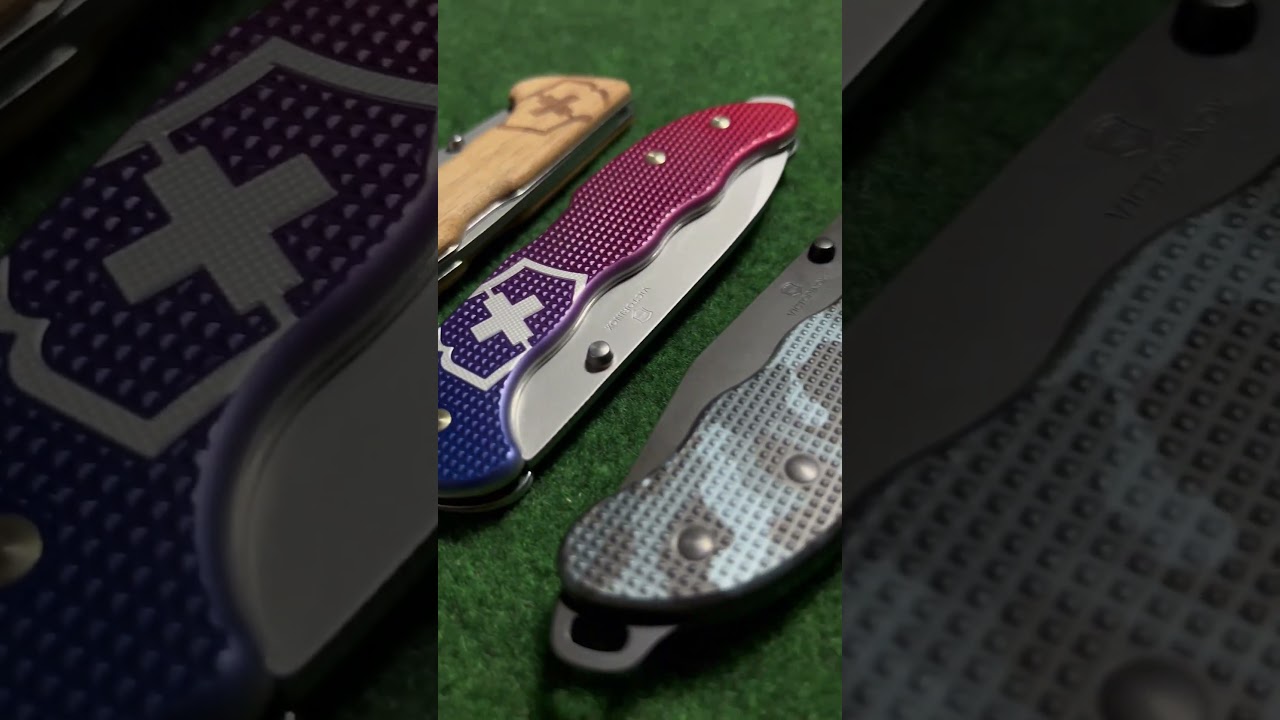 Roy.sk | Victorinox Evoke