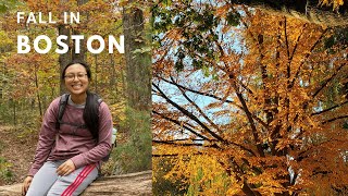 7 Things to Know About Fall in Boston
