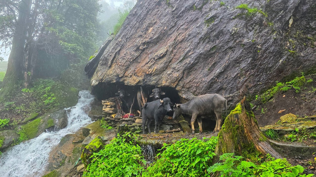 Real Nepali Mountain Village Life During the Rain | Most Peaceful And Relaxing Village Life |