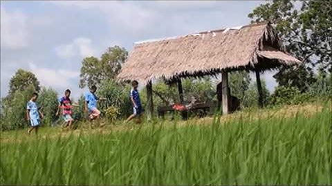 ลูกภารโรง Tgs กาบเชิงวิทยา