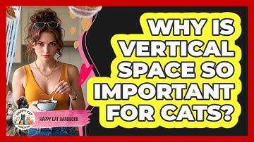 Why Is Vertical Space So Important For Cats? - Happy Cat Handbook