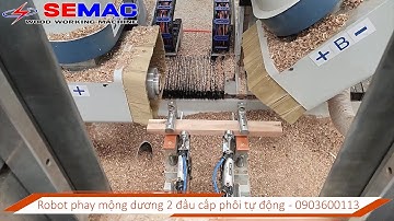 Robot phay mộng dương 2 đầu cấp phôi tự động - 0903600113