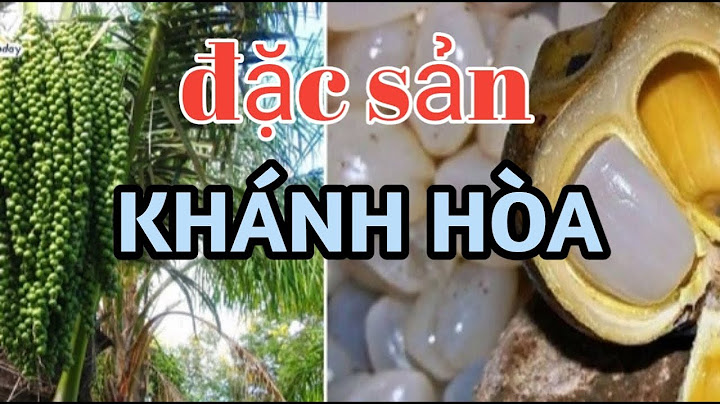 Đặc sản của nha trang là gì năm 2024