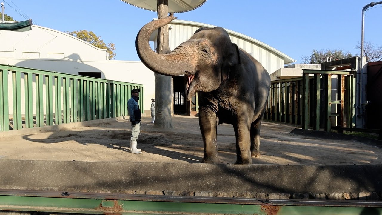 2025年12月13日（土）ズゼちゃん、日向ぼっこで動きたくなかったTR
