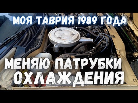 Бейне: Шланг қысқыштарын қайта пайдалана аласыз ба?