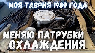 Таврия ЗАЗ 1102 замена патрубков СО и заливаю тосол перед зимой Таврия ЗАЗ 1102 замена патрубков СО и заливаю тосол перед зимой