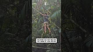 now im part of candiru folklore 😩 🤣
#travelfail #vacationfail #amazonrainforest #fail #humor
►►► Submit your videos for the chance to be featured 🔗 https://www.failarmy.com/pages/submit-video ▼ Follow us for more fails! https://linktr.ee/failarmy
Catch all our shows streaming today ➝ https://www.failarmy.com/pages/watch-live
FailArmy is the world’s number one source for epic fail videos and hilarious compilations. We’re powered by fan submissions and feedback from all around the world, with over 69 million fans across digital platforms! From our team to you all, thank you for your support 😊
To license any of the videos shown on FailArmy, please visit Jukin Media at http://bit.ly/jukinlicense
#FailArmy #Fails now im part of candiru folklore 😩 🤣