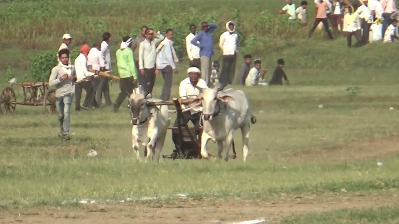 barghat bailbazar pat all video  subscribe my chanel 🥇