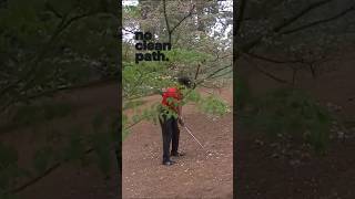 Most Golfers Would Just Punch Out Here — Tiger Woods at The Masters #golfmoment