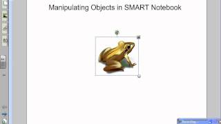 Manipulating Objects