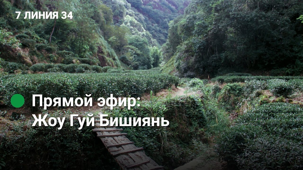 Как заваривать Жоу Гуй и что прикольного в его дорогих вариантах