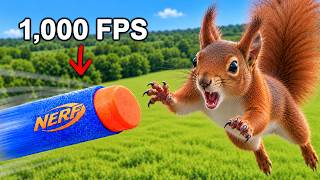 I Hunted Squirrels With A High Powered NERF Gun
