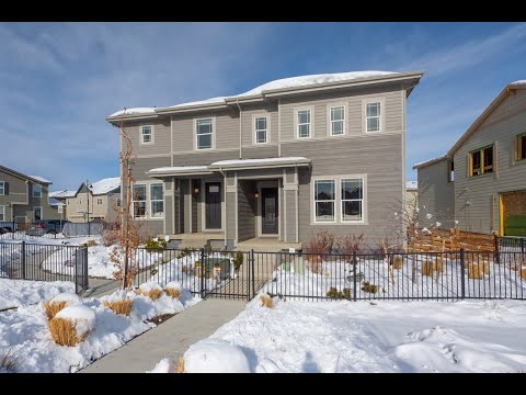 1172 Hargreaves Way, Erie, CO home video tour