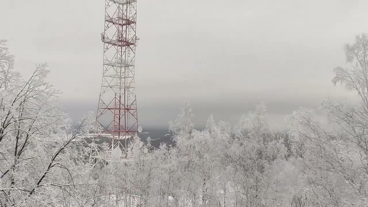 Гора Волчиха