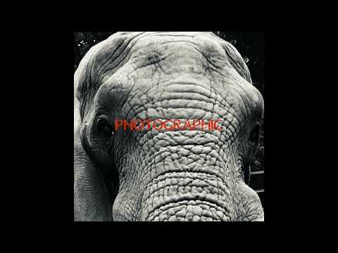 Mindmodvl — Mindmodvl - Photographic