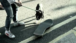LAKAI: THE SHOES WE SKATE COMMERCIAL 2