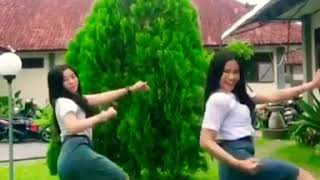 Download Lagu Makan Daging Anjing Dengan Sayur Kol (Dance) MP3