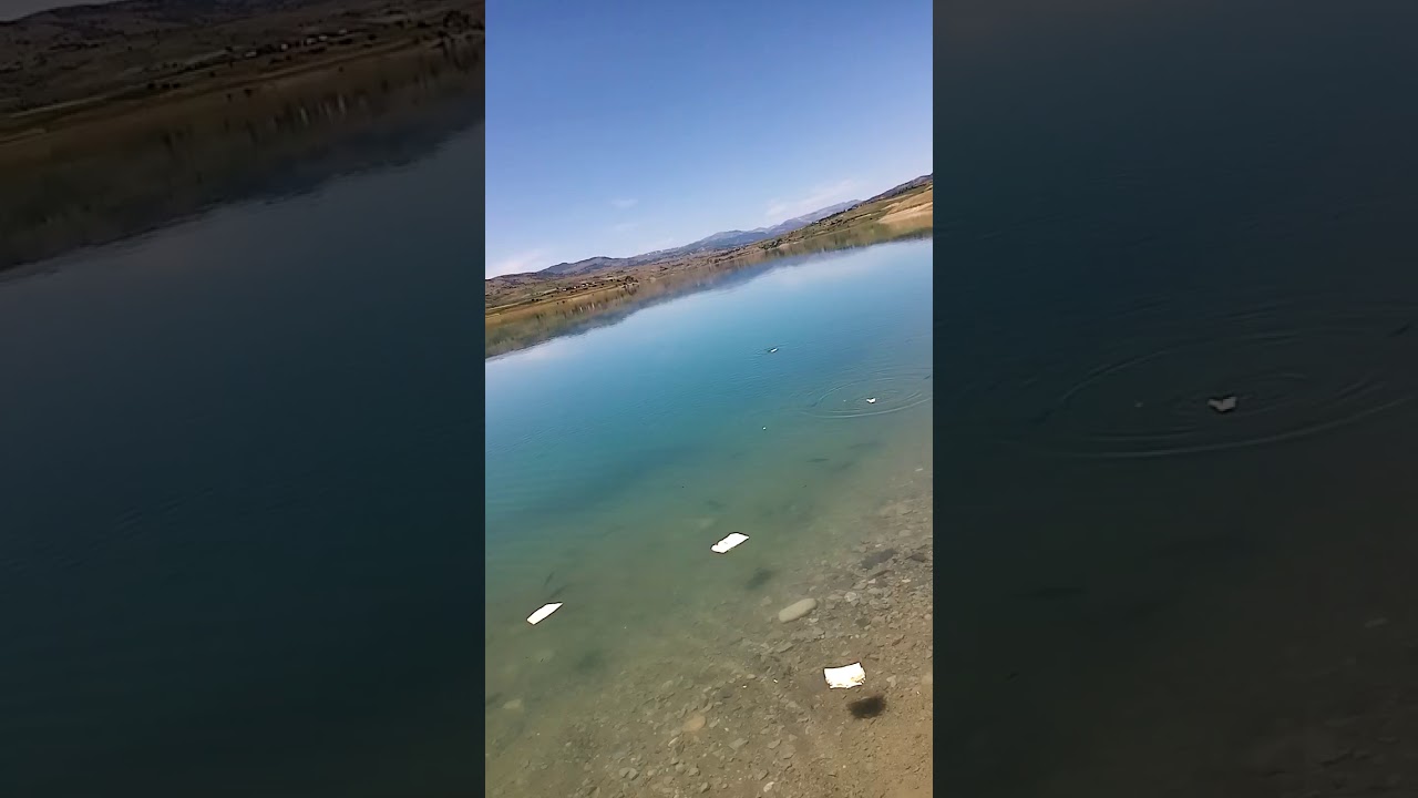 Tunceli mehmet demir göktepe balıkçılık ve tesisler 2