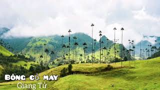 Nhạc VNCH ; Bông Cỏ May - Trình bày : Giang Tử