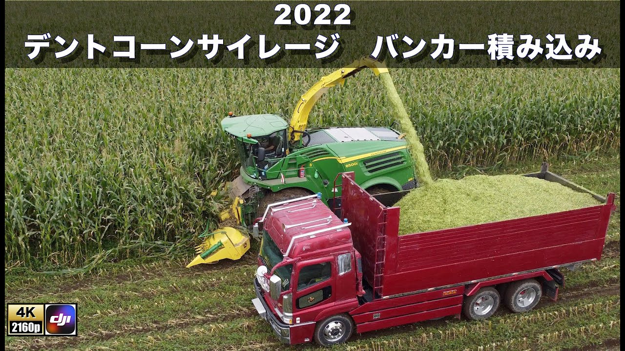 2022 デントコーンサイレージ バンカーサイロ積み込み Cone Silage harvest & Strage in bunker silo 4K