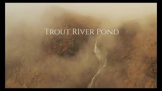 Trout River Pond, Gros Morne National Park, Newfoundland and Labrador, Canada