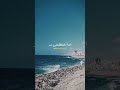 اللي سابنا يرد بابنا و نشرب الشاي بعده عادي اللي سابنا يرد بابنا و نشرب الشاي بعده عادي