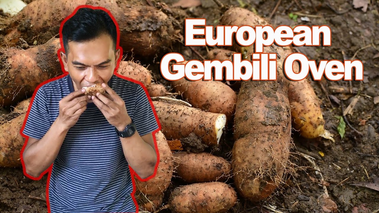 🔴 Gembili Mahal 