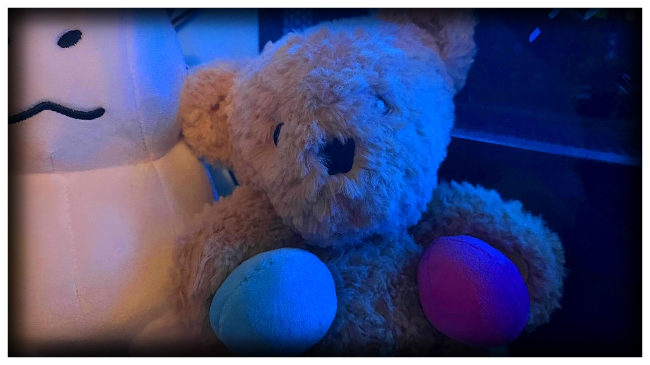 Sam Plush REVIEW | TMGBoom